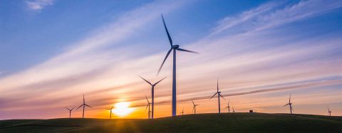 Sustainability and Climate change